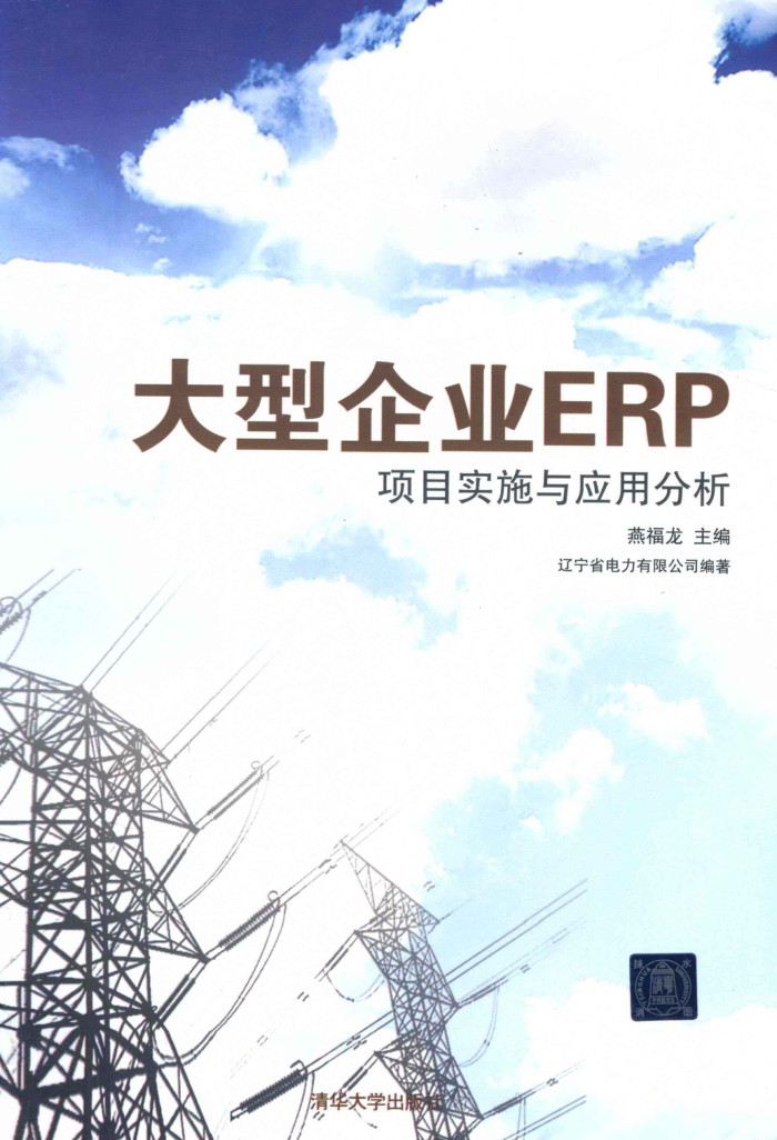 ҵERPĿʵʩӦ÷