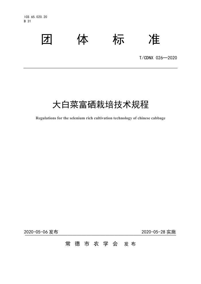 T/CDNX 026-2020 ײ˸༼