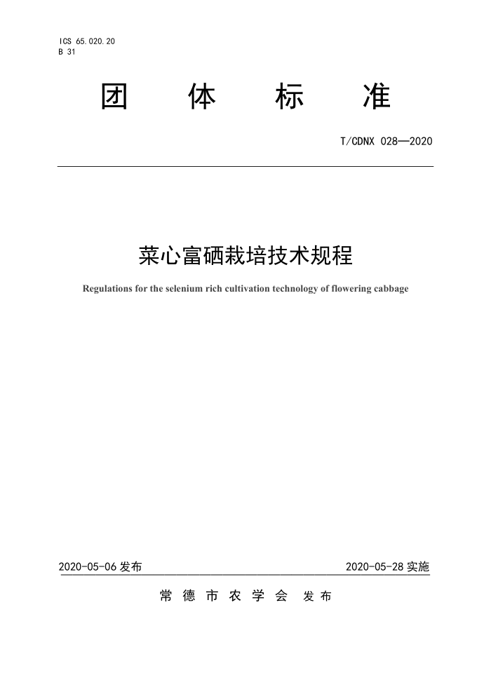T/CDNX 028-2020 ĸ༼