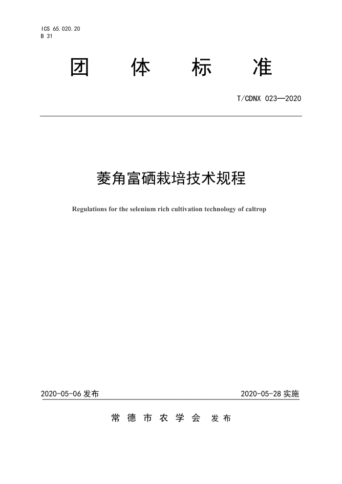 T/CDNX 023-2020 Ǹ༼