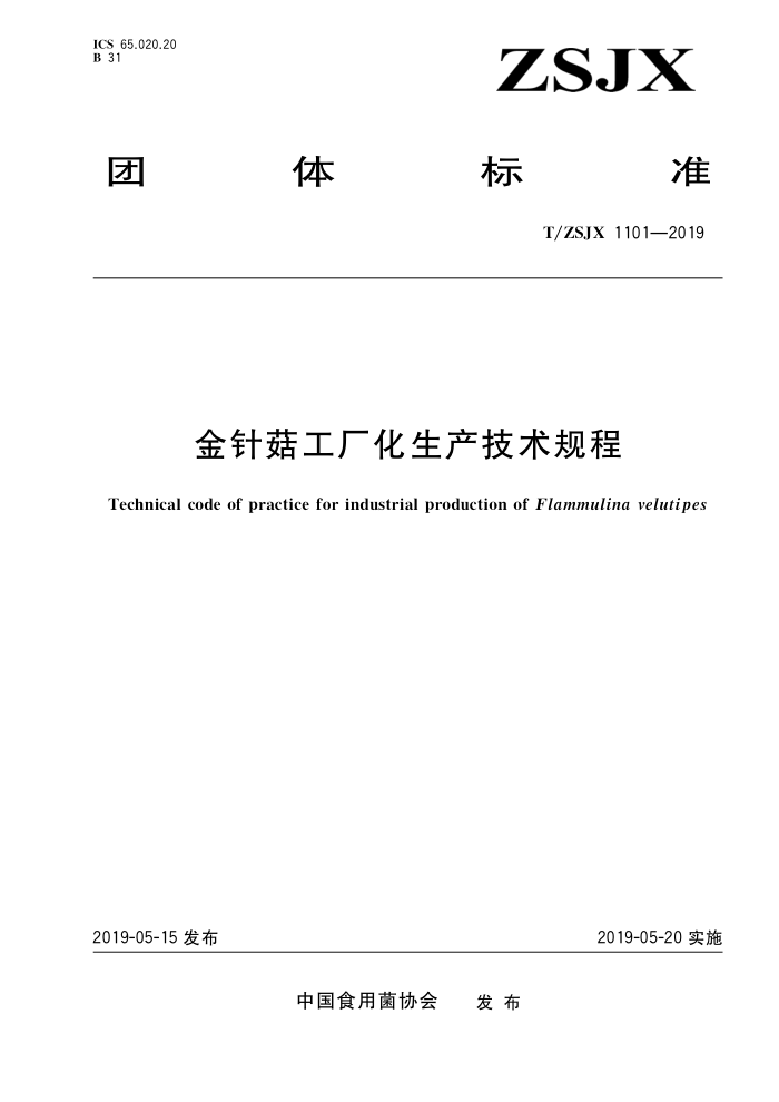 T/ZSJX 1101-2019 빽