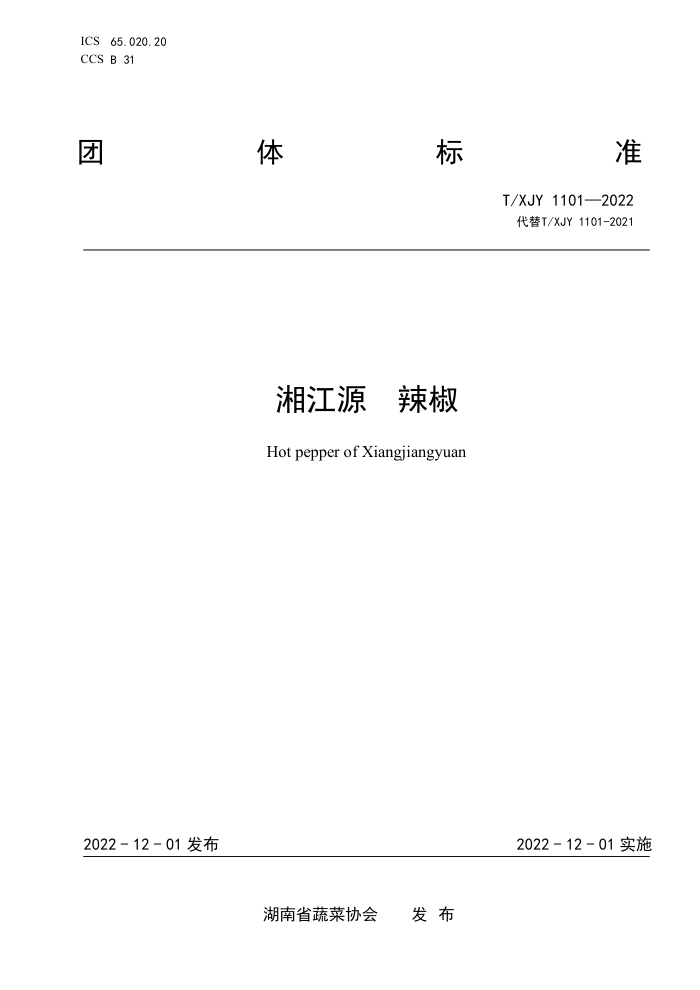 T/XJY 1101-2022 潭Դ 