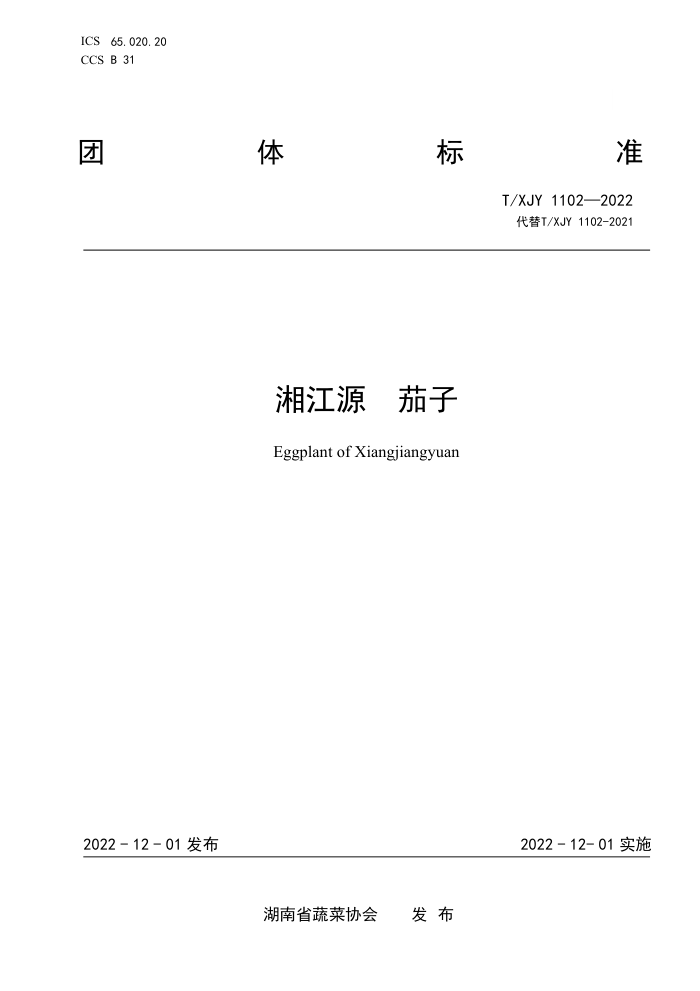 T/XJY 1102-2022 潭Դ 