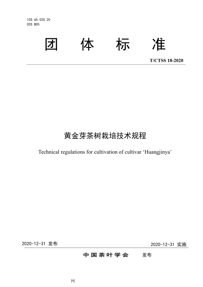 T/CTSS 18-2020 ƽѿ༼