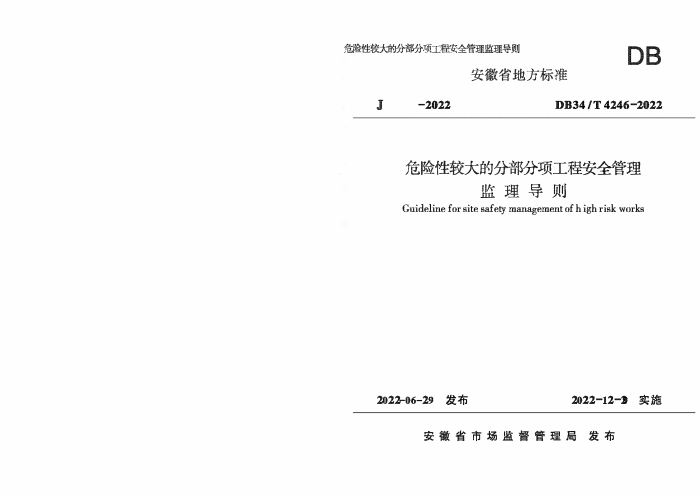DB34/T 4246-2022 危险性较大的分部分项工程安全管理监理导则