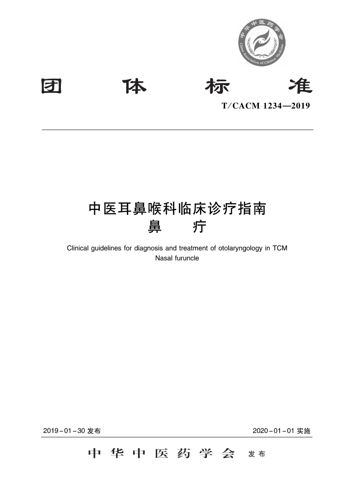 T/CACM 1234-2019 ҽǺٴָ 