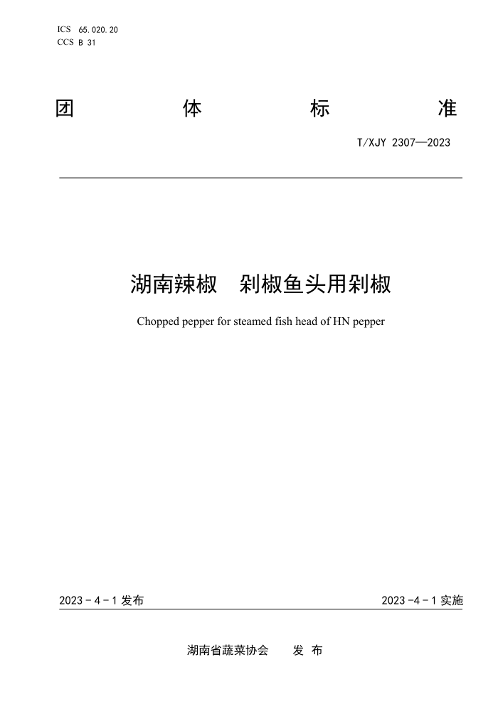 T/XJY 2307-2023  罷ͷö罷