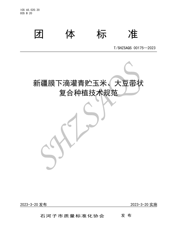 T/SHZSAQS 00175-2023 ½Ĥµιס󶹴״ֲ淶
