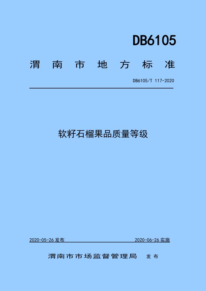 DB6105/T 117-2020 ʯƷȼ