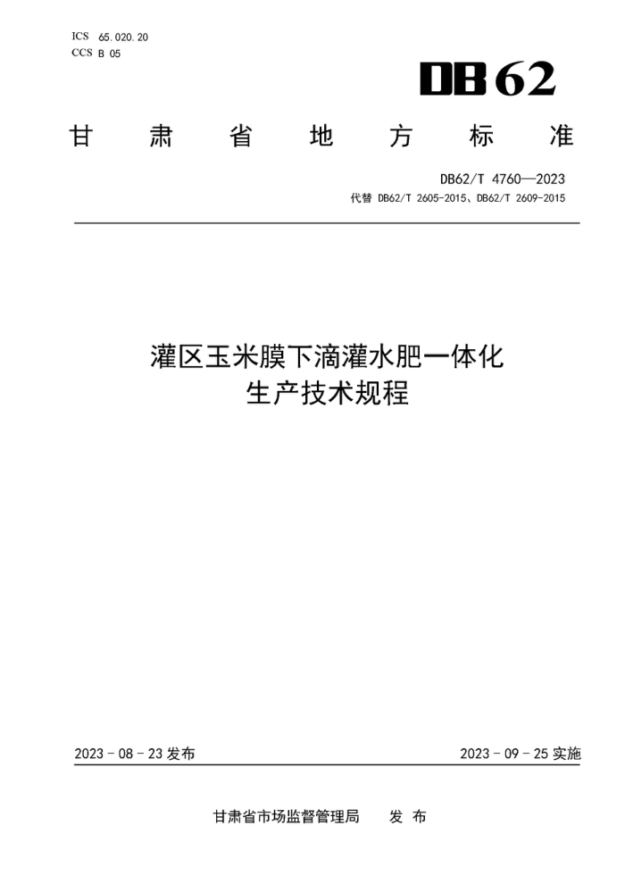 DB62/T 4760-2023 Ĥµιˮһ廯