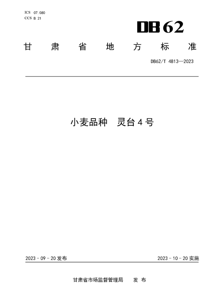 DB62/T 4813-2023 СƷ ̨4