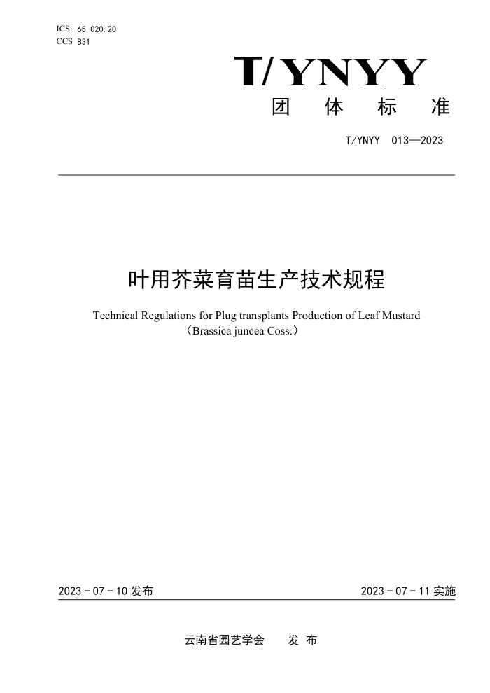 T/YNYY 013-2023 Ҷý