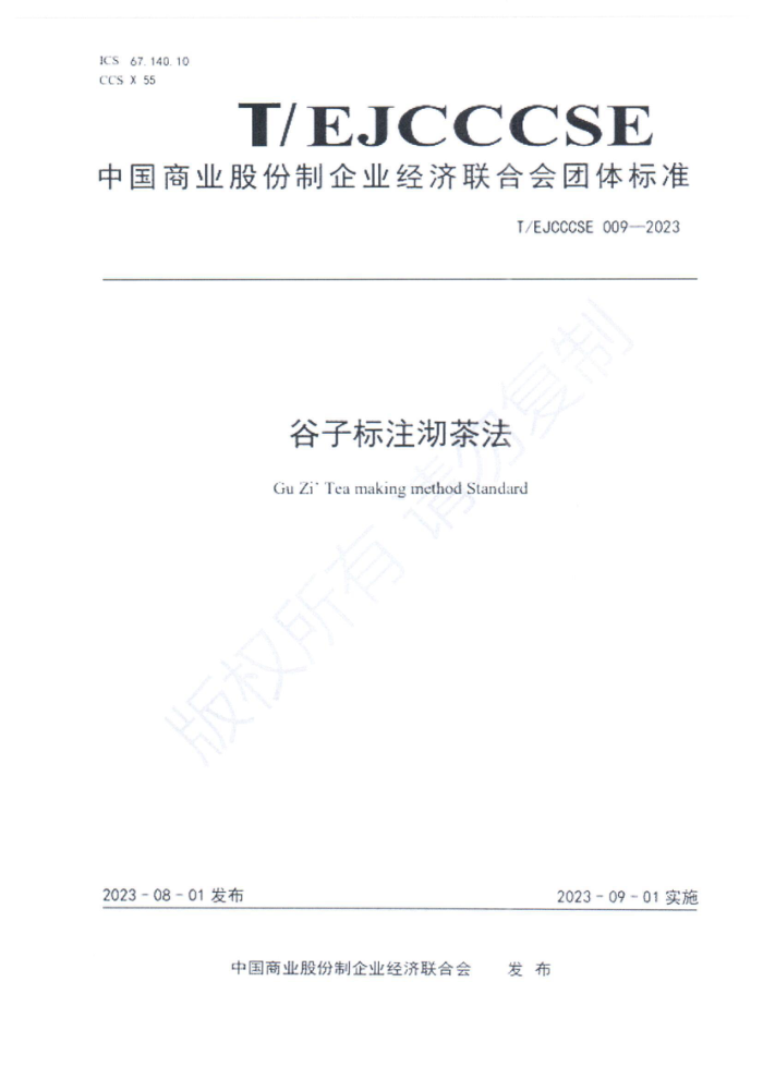T/EJCCCSE 009-2023 ӱע跨