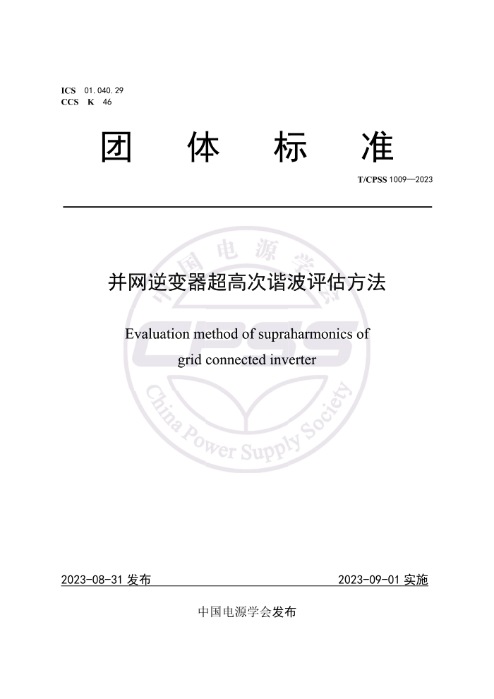 T/CPSS 1009-2023 ߴг