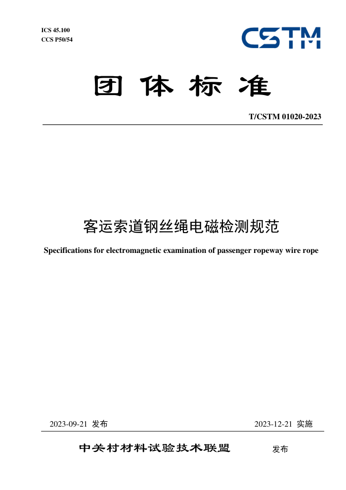 T/CSTM 01020-2023 ˿ż淶