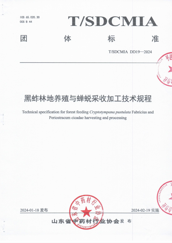T/SDCMIA DD19-2024 ֳֵɲռӹ