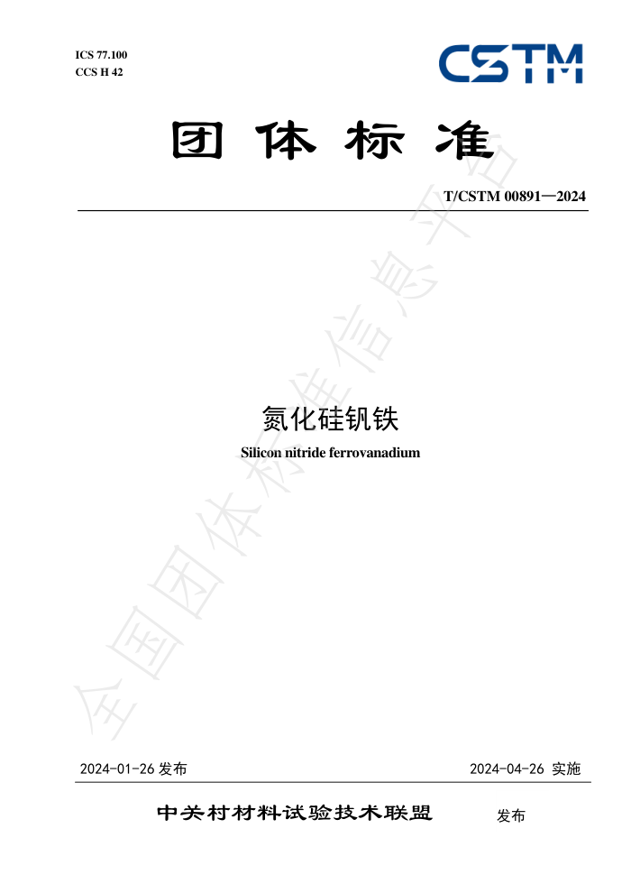 T/CSTM 00891-2024 跰