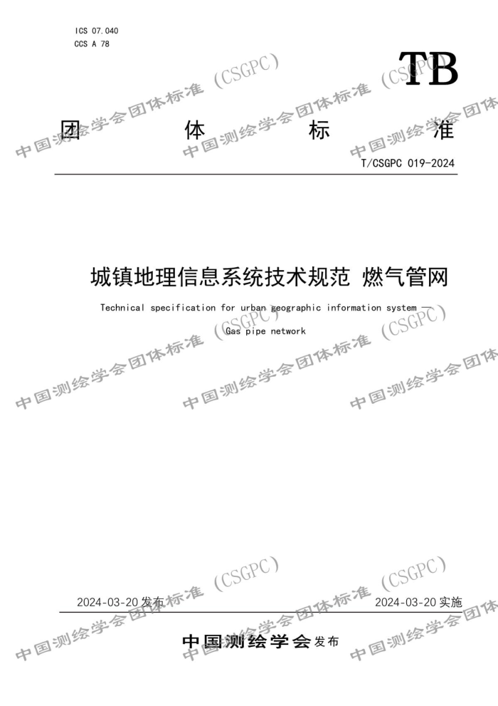 T/CSGPC 019-2024 Ϣϵͳ淶 ȼ