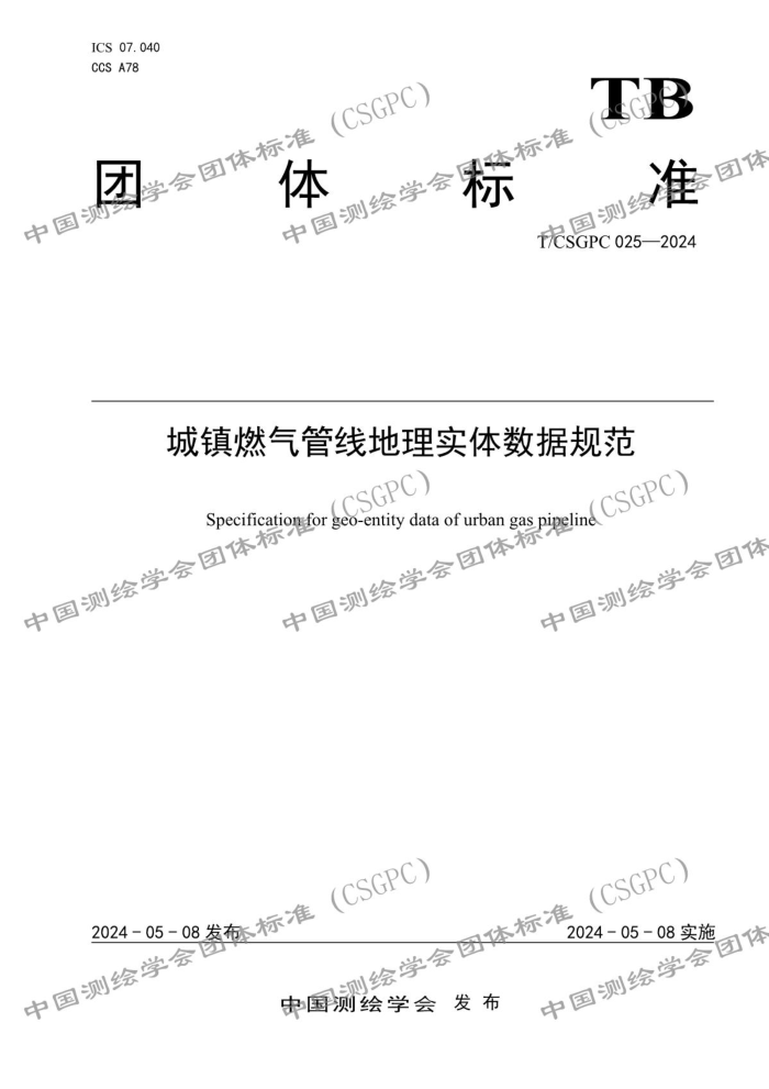 T/CSGPS 025-2024 ȼߵʵݹ淶