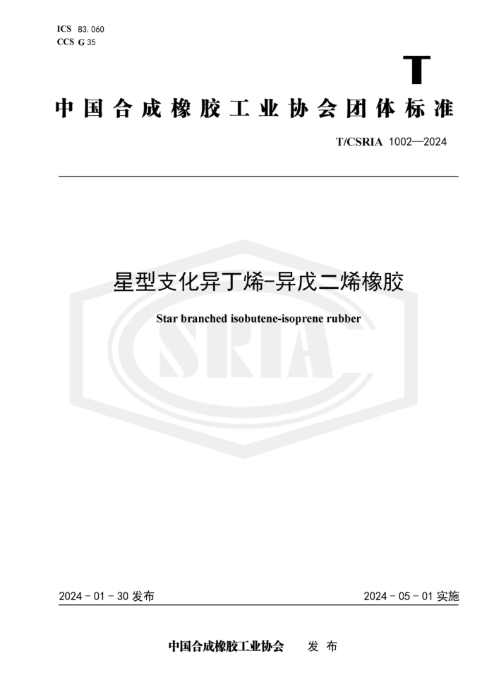 T/CSRIA 1002-2024 ֧춡ϩ-ϩ