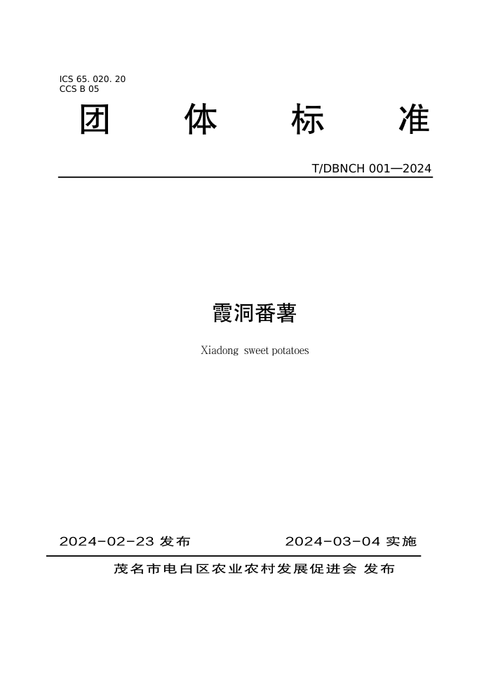 T/DBNCH 001-2024 ϼ