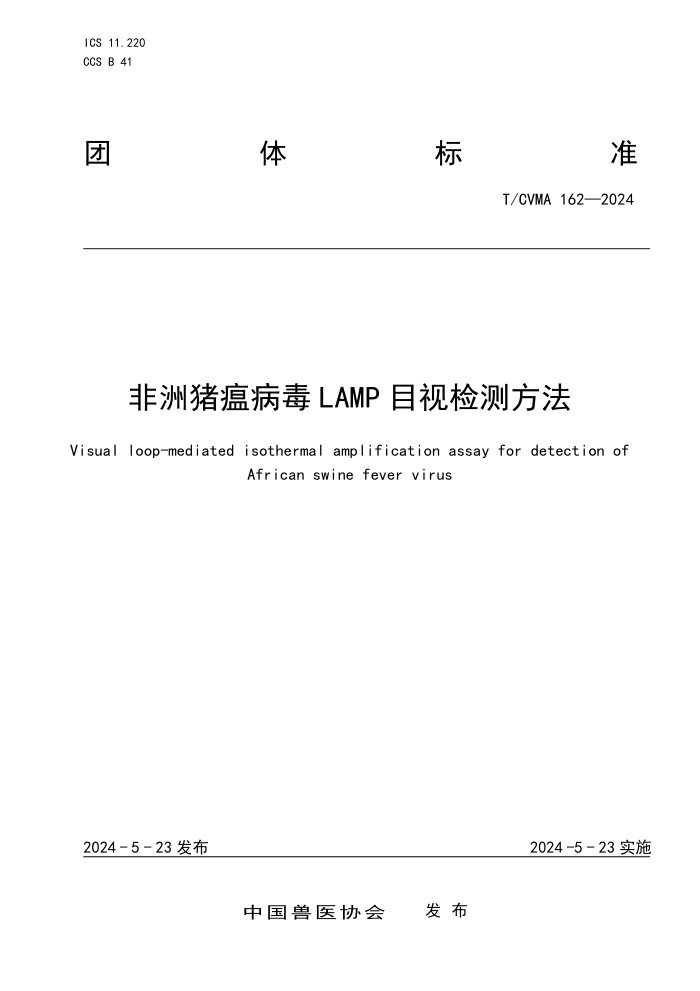 T/CVMA 162-2024 LAMPĿӼⷽ