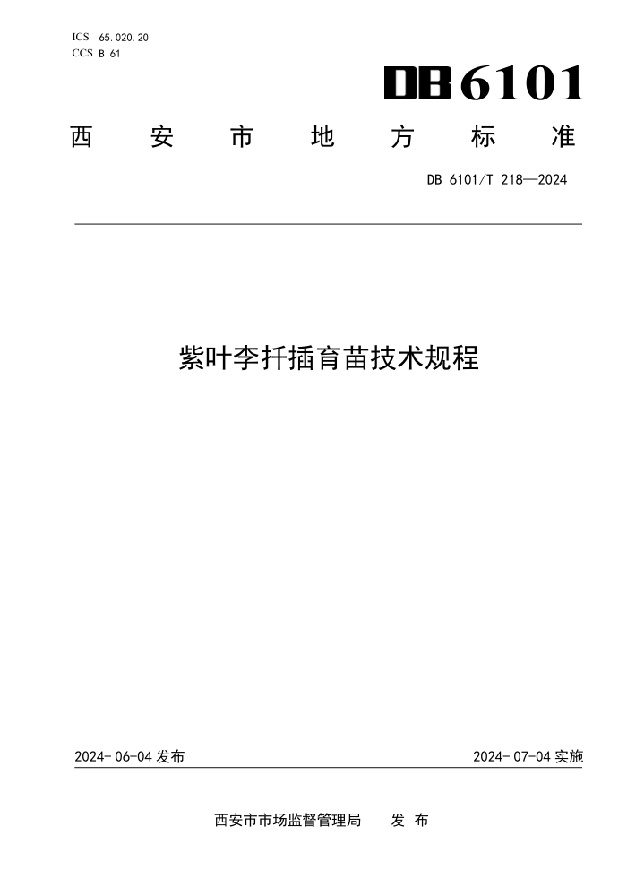DB6101/T 218-2024 ҶǤ缼