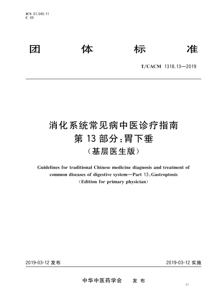 T/CACM 1318.13-2019 ϵͳҽָ 13֣θ´ҽ棩