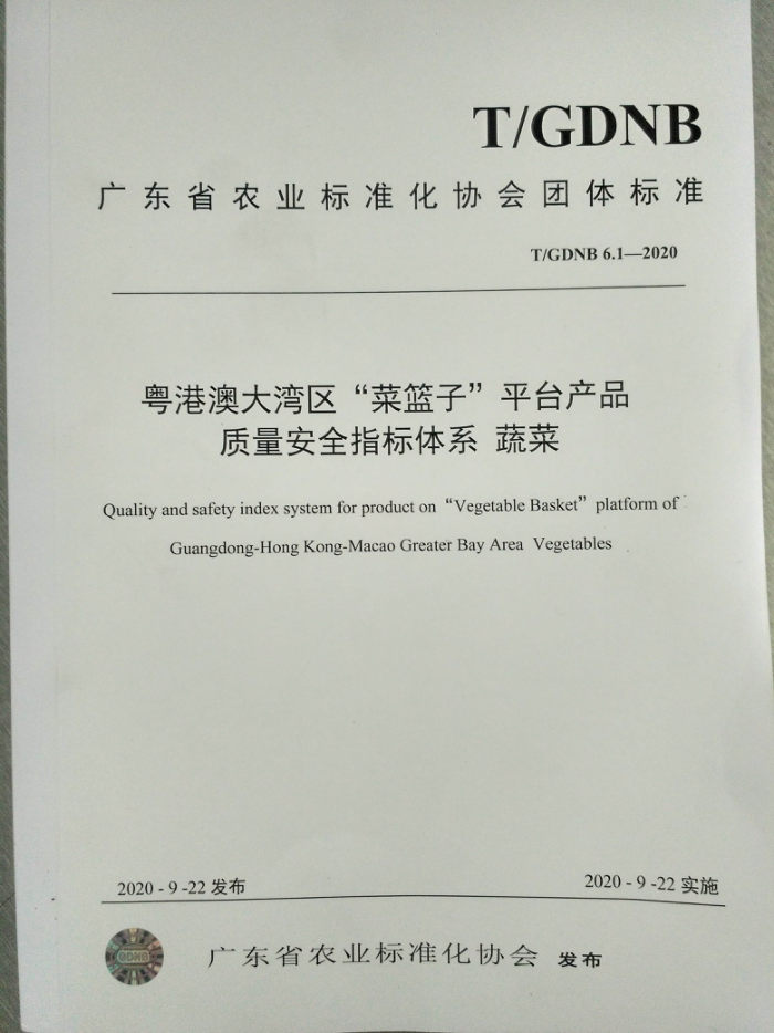 T/GDNB 6.1-2020 ۰Ĵӡƽ̨Ʒȫָϵ ߲