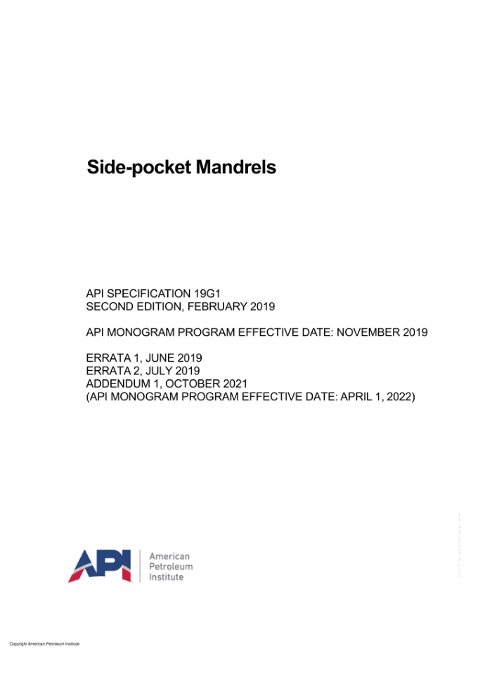 API SPEC 19G1-2021 ƫ