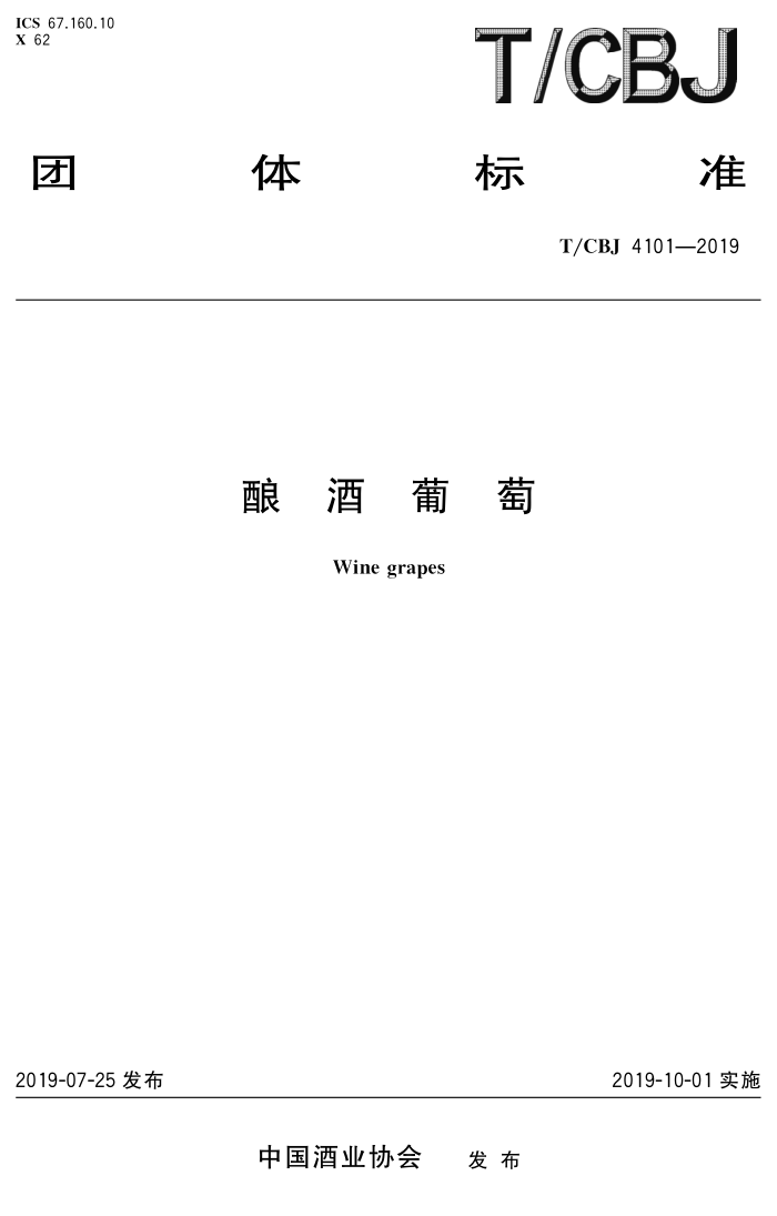 T/CBJ 4101-2019 