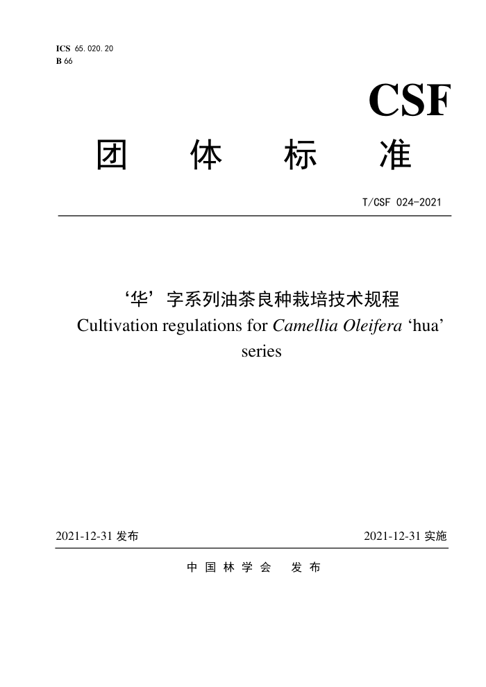 T/CSF 024-2021 ϵͲ༼