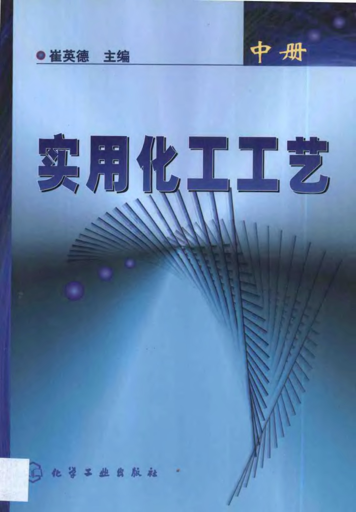 实用化工工艺(中册) 崔英德 主编