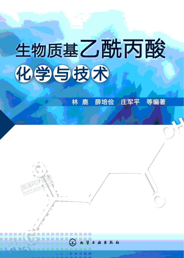 生物质基乙酰丙酸化学与技术