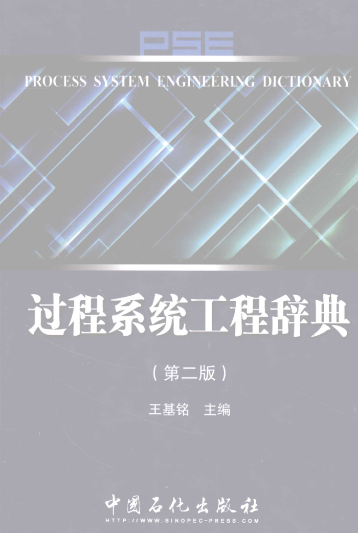 过程系统工程辞典(第二版)
