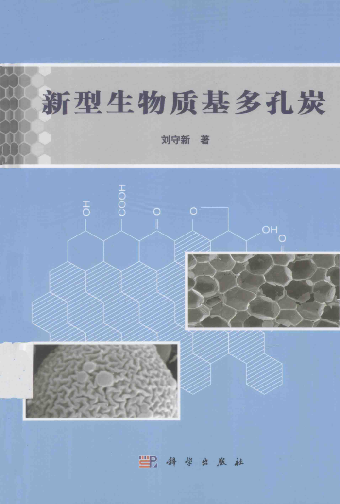 新型生物质基多孔炭