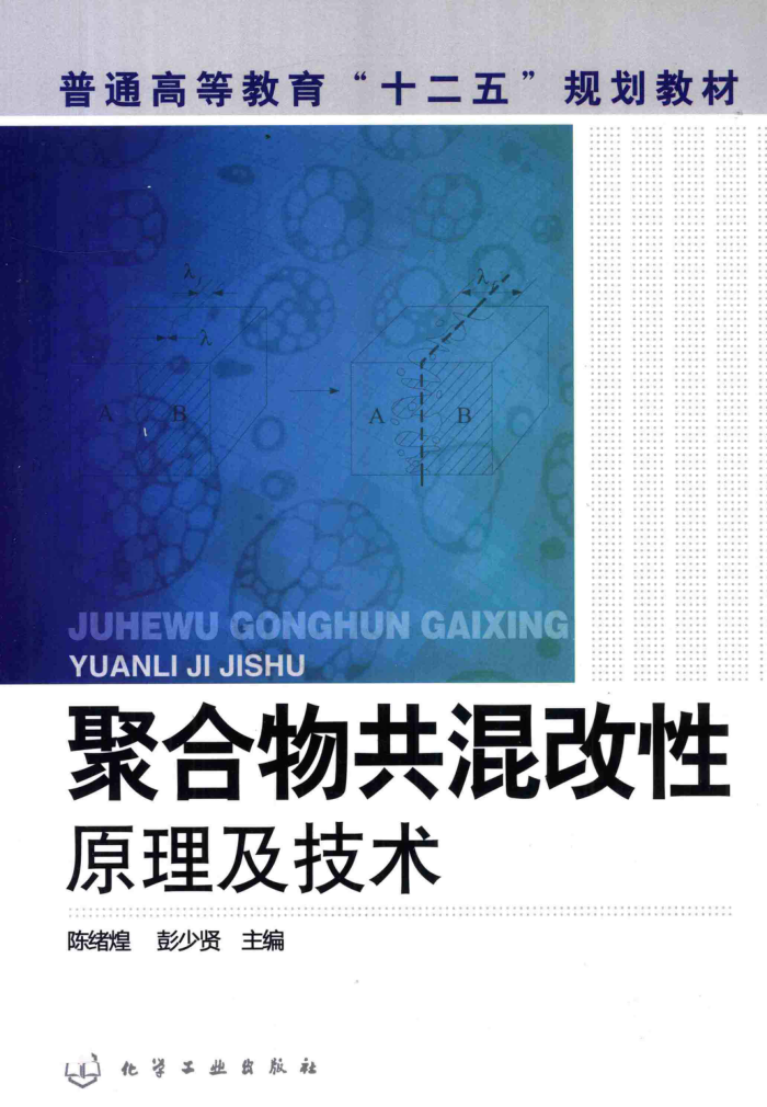 聚合物共混改性原理及技术
