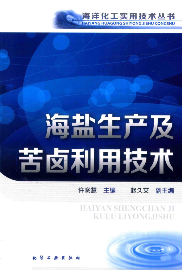 海洋化工实用技术丛书 海盐生产及苦卤利用技术
