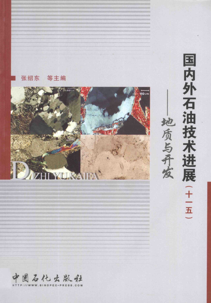 国内外石油技术进展