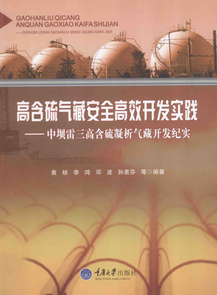 高含硫气藏安全高效开发实践:中坝雷三高含硫凝析气藏开发纪实