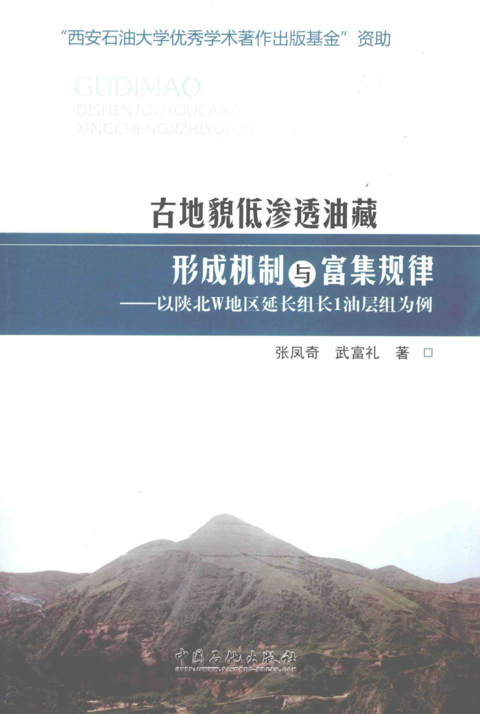 古地貌低渗透油藏的形成机制与富集规律:以陕北W地区延长组长1油层组为例