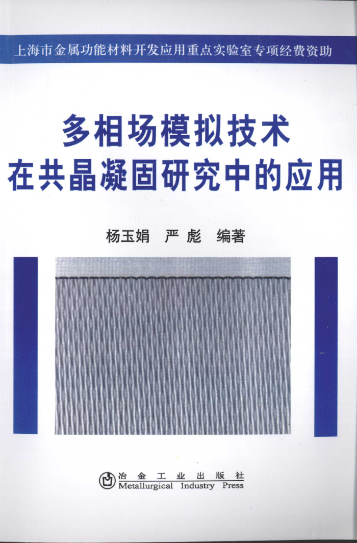 多相场模拟技术在共晶凝固研究中的应用