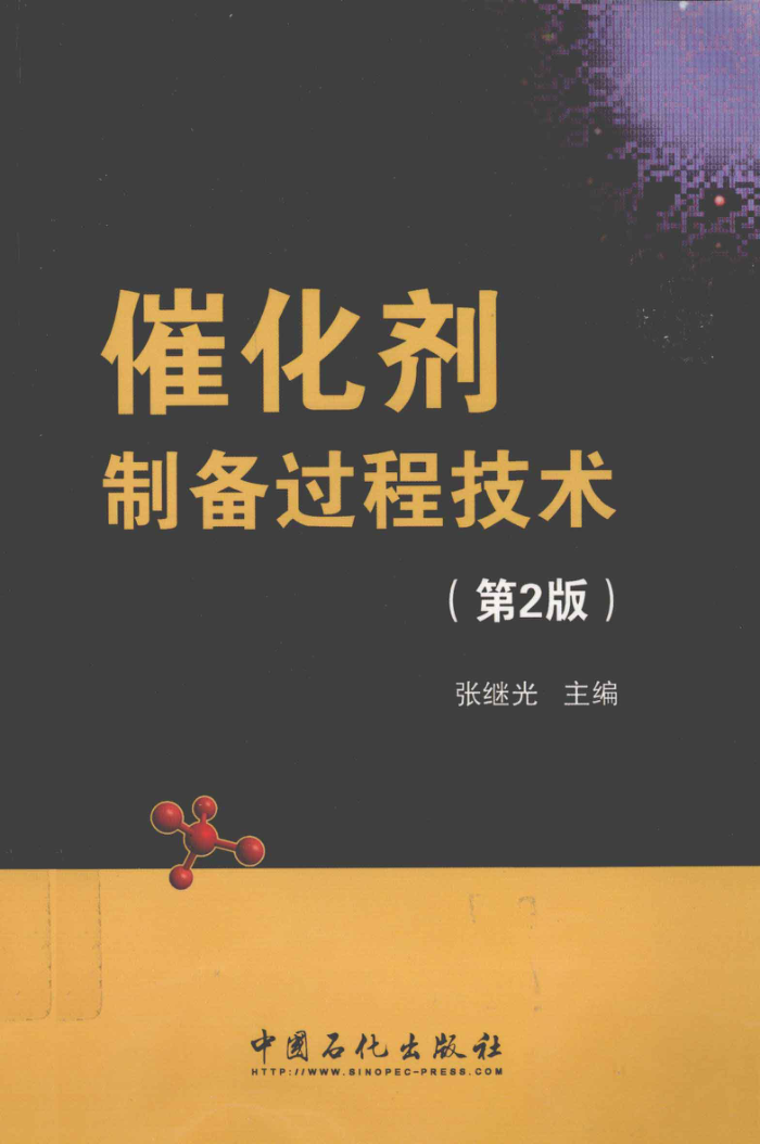 催化剂制备过程技术 第二版