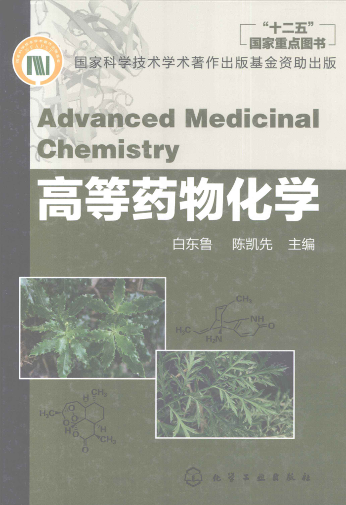 高等药物化学 2011年版