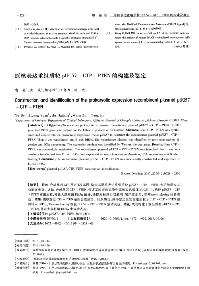 原核表达重组质粒pUC57-CTP-PTEN的构建及鉴定