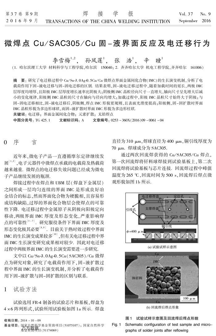 微焊点Cu∕SAC305∕Cu固-液界面反应及电迁移行为