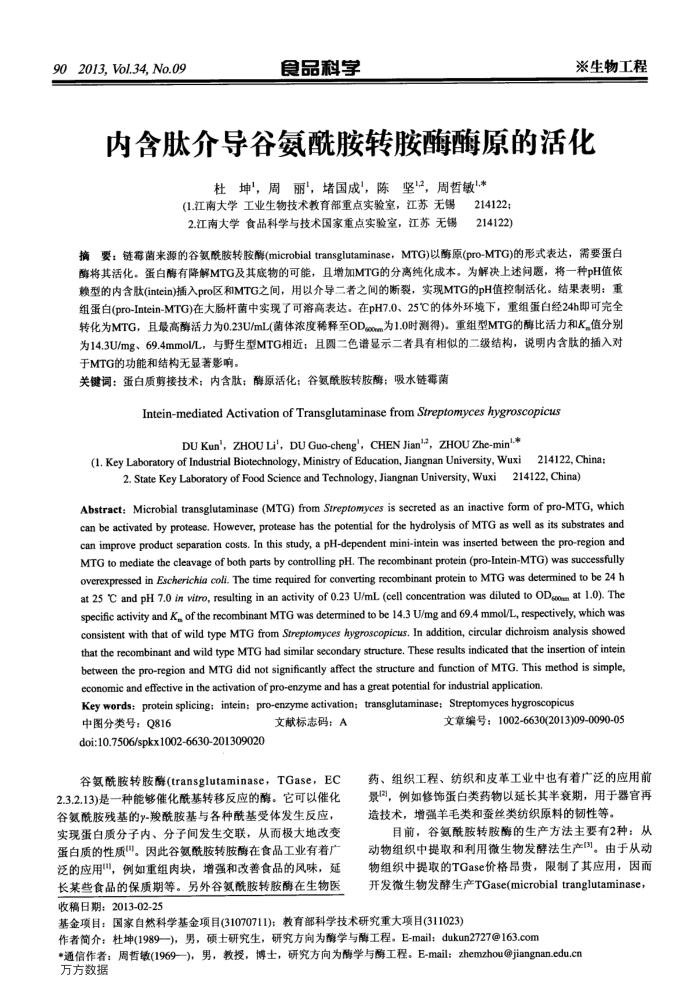 内含肽介导谷氨酰胺转胺酶酶原的活化