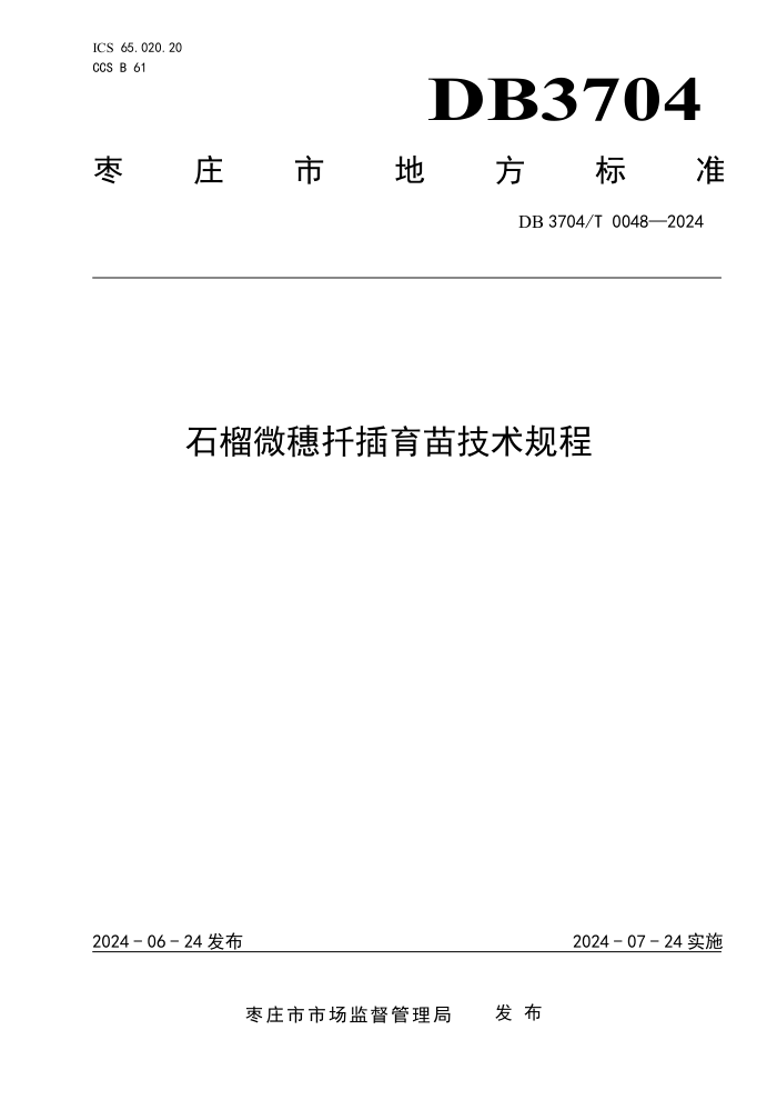 DB3704/T 0048-2024 ʯ΢Ǥ缼