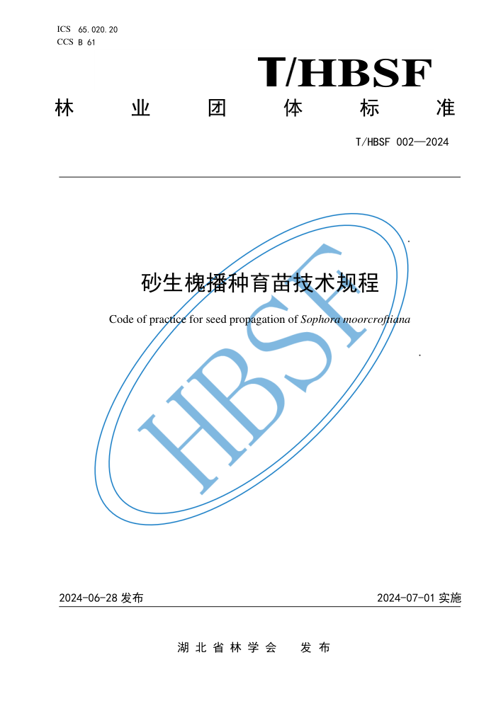 T/HBSF 002-2024 砂生槐播种育苗技术规程
