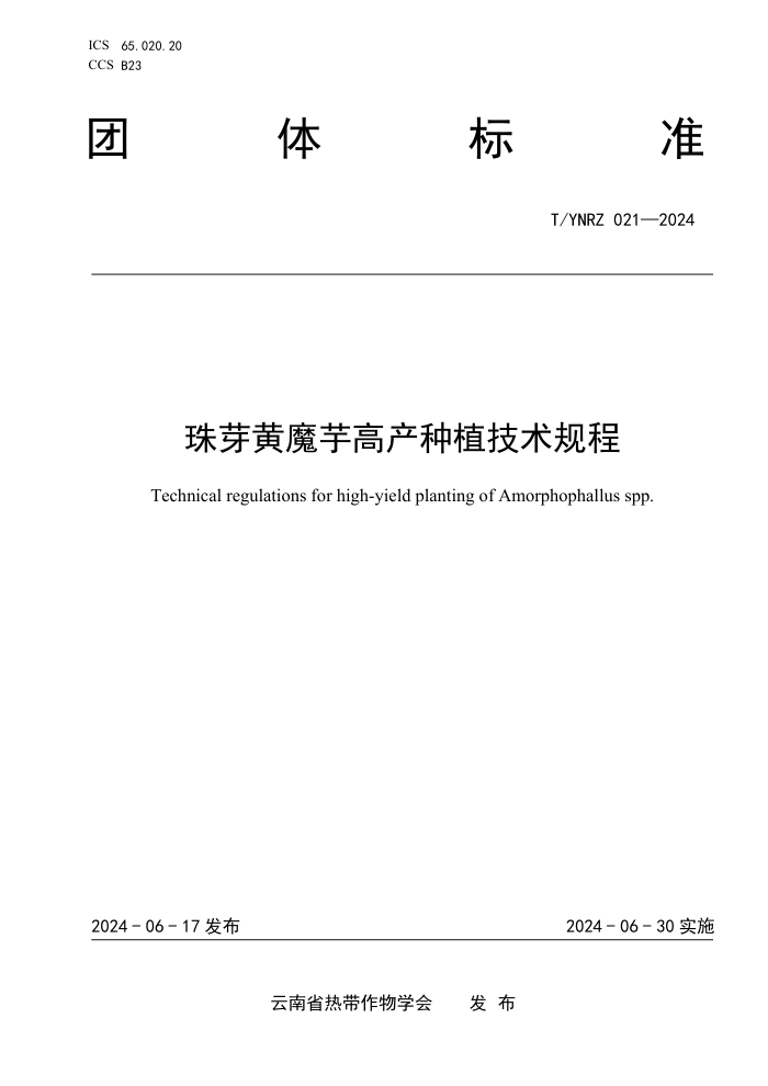 T/YNRZ 021-2024 珠芽黄魔芋高产种植技术规程